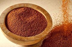 از خواص فوق العاده و درمانی خاکشیر غافل نشوید