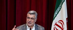 ظفرقندی: آزمون‌های بورد، بالاترین سطح آزمون‌های علمی کشور هستند