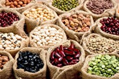 کاهش وکنترل فشار خون با مصرف حبوبات سرشار از مواد غنی از فیبر و پروتئین