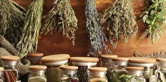 معرفی چند گیاه جادویی و معجزه گر برای درمان فشار خون + نکات مهم