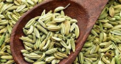 اگر بدنبال کاهش وزن و لاغری بی دردسر و بدون عوارض هستید زیره سبز معجزه‌ای باورنکردنی است