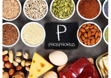 استحکام و تقویت دندان‌ها با مصرف این ویتامین‌ها