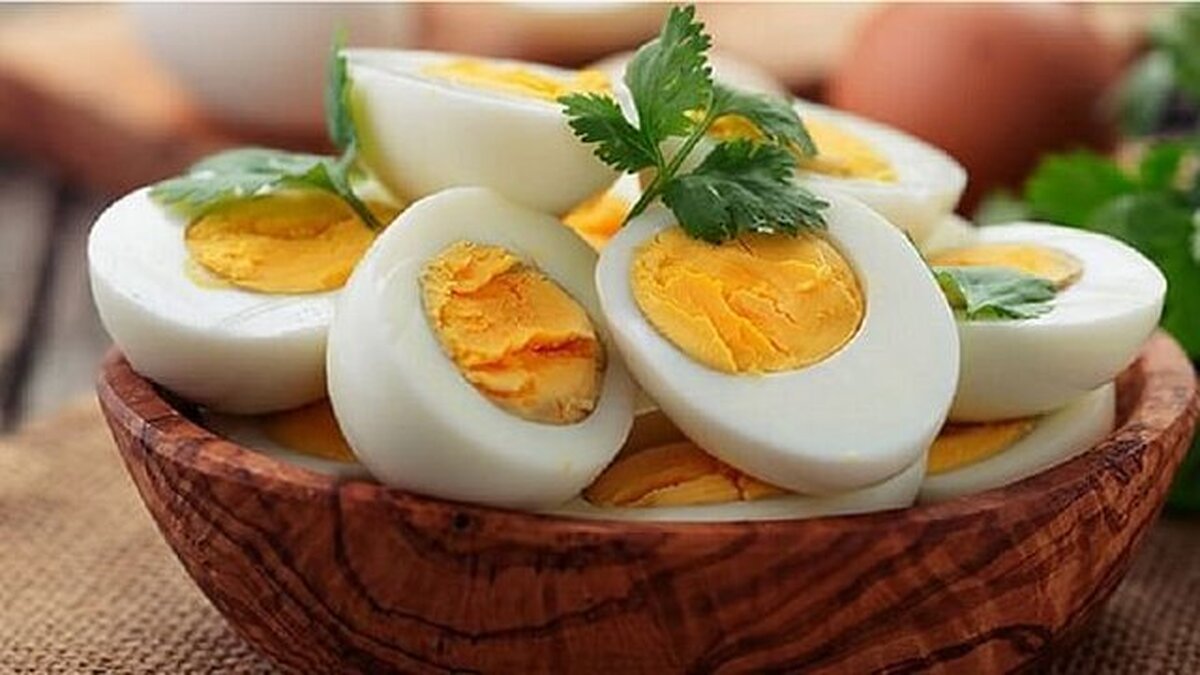 خوردن هر روزه تخم‌مرغ بیماری ایجاد میکند؟