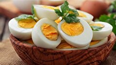 خوردن هر روزه تخم‌مرغ بیماری ایجاد میکند؟