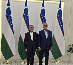 گفتگوی های سازنده مدیرکل آسیای جنوبی وزارت امور خارجه در ازبکستان