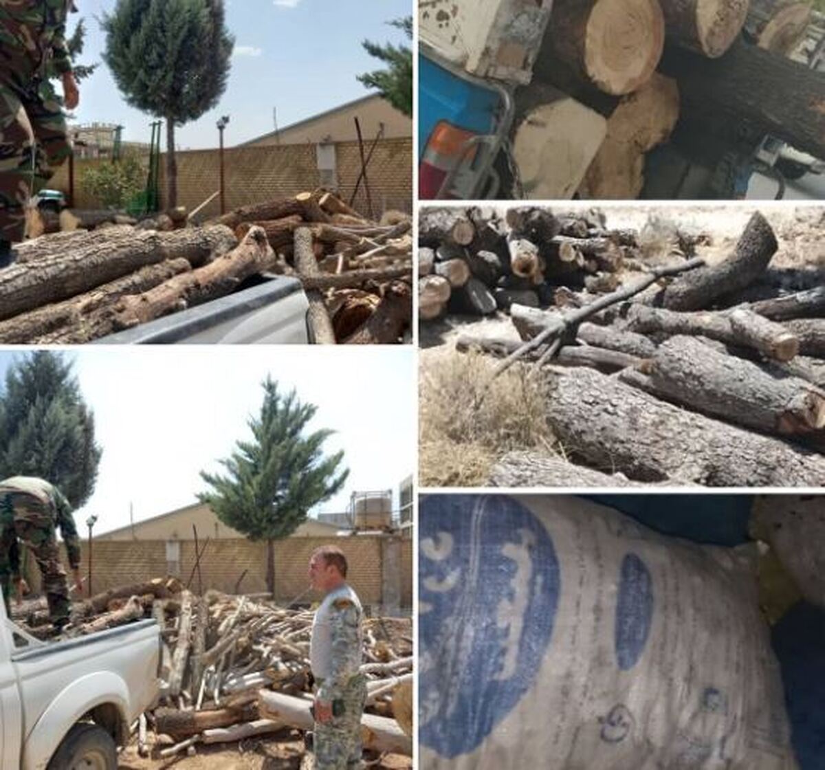 کشف ۴۷۵۰ کیلوگرم چوب و زغال قاچاق در شهرستان بویراحمد