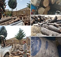 کشف ۴۷۵۰ کیلوگرم چوب و زغال قاچاق در شهرستان بویراحمد