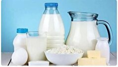 مقایسه میزان کلسیم در سنجد و لبنیات ها/کدام بیشتر است؟