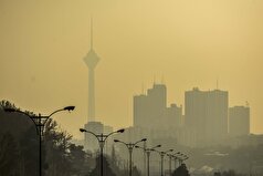 آلودگی هوا چه تاثیری بر مغز کودکان دارد؟