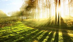 بررسی تاثیر نور خورشید بر بدن انسان!