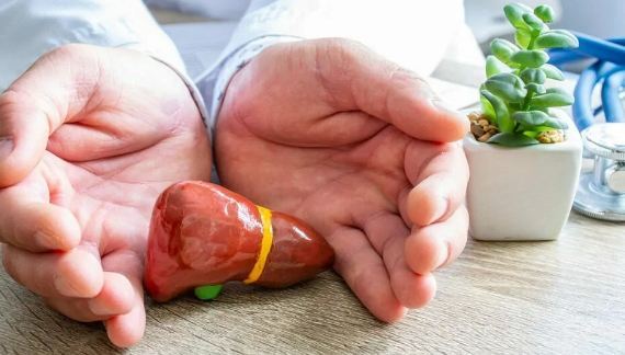 چند راهکار شیمیایی و گیاهی برای پایین آوردن آنزیم‌های کبد و درمان مشکلات قلب دوم انسان