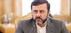 واکنش معاون وزارت امور خارجه به حمایت نایب‌رئیس دیوان بین‌المللی دادگستری از اسرائیل