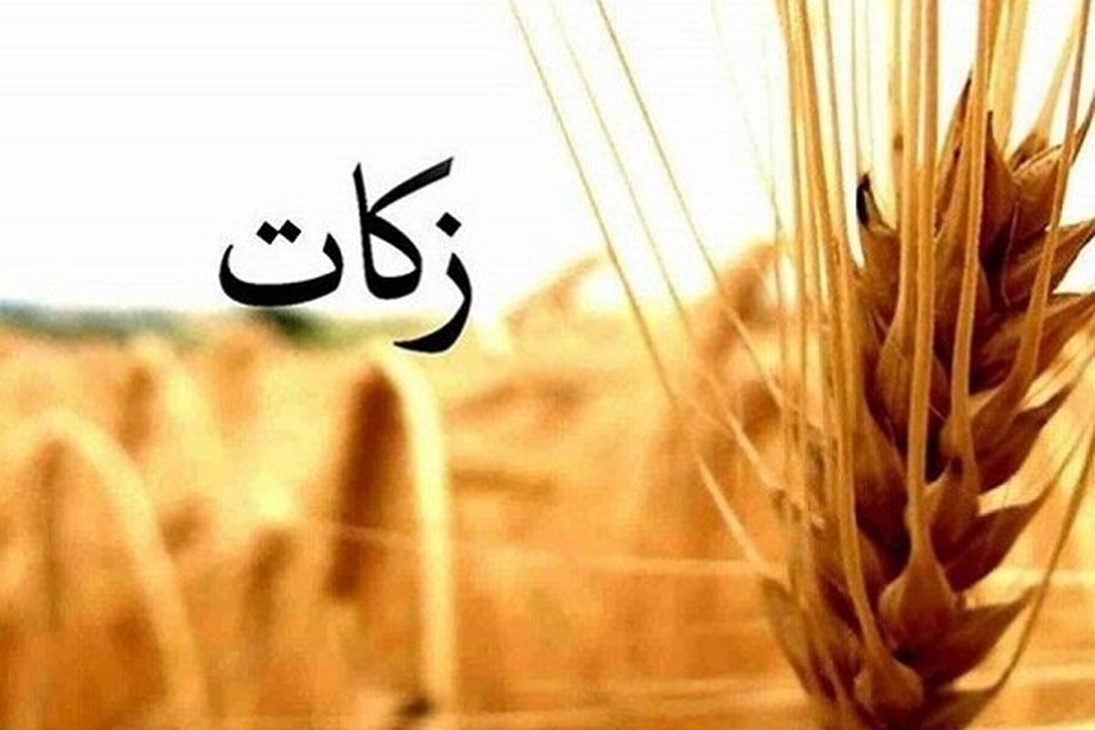 جمع آوری ۸۶ میلیارد تومان زکات از طریق شورا‌های زکات گلستان