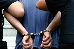 کلاهبردار ۱۴۰ میلیاردی توسط اینترپل به کشور بازگردانده شد