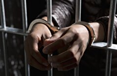 پلیس رومانی مظنون به تجاوز جنسی به کودکان در پارک رولانتیکا در آلمان را دستگیر کرد
