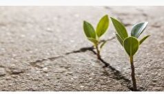 چند تکنیک برای داشتن امید در زندگی و احساس رضایت