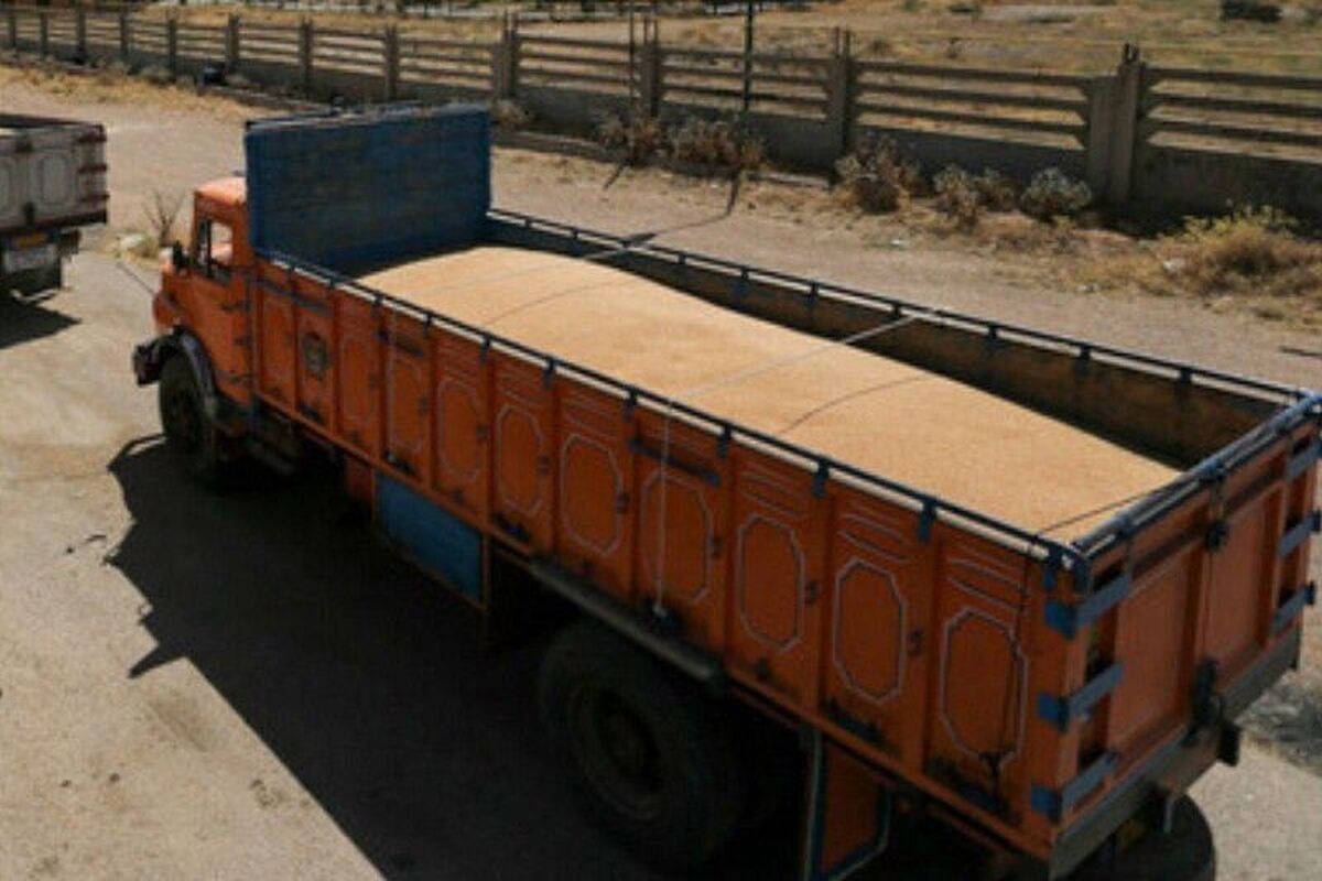 کشف ۲۵ تن گندم قاچاق در مراغه