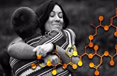 «هورمون عشق» فقط برای روابط عاشقانه نیست| اکسی‌توسین چگونه دوستی‌های ما را تقویت می‌کند؟