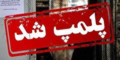 پلمب ۱۱ واحد صنفی فاقد پروانه کسب در بهارستان