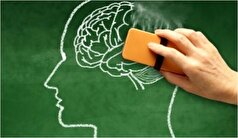 خبر بد برای افراد مجرد! /خطر زوال عقل در کمین است