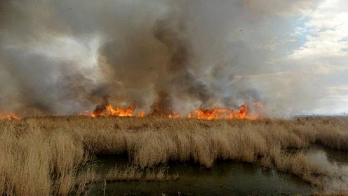 مهار آتش سوزی تالاب بیشه دالان بروجرد