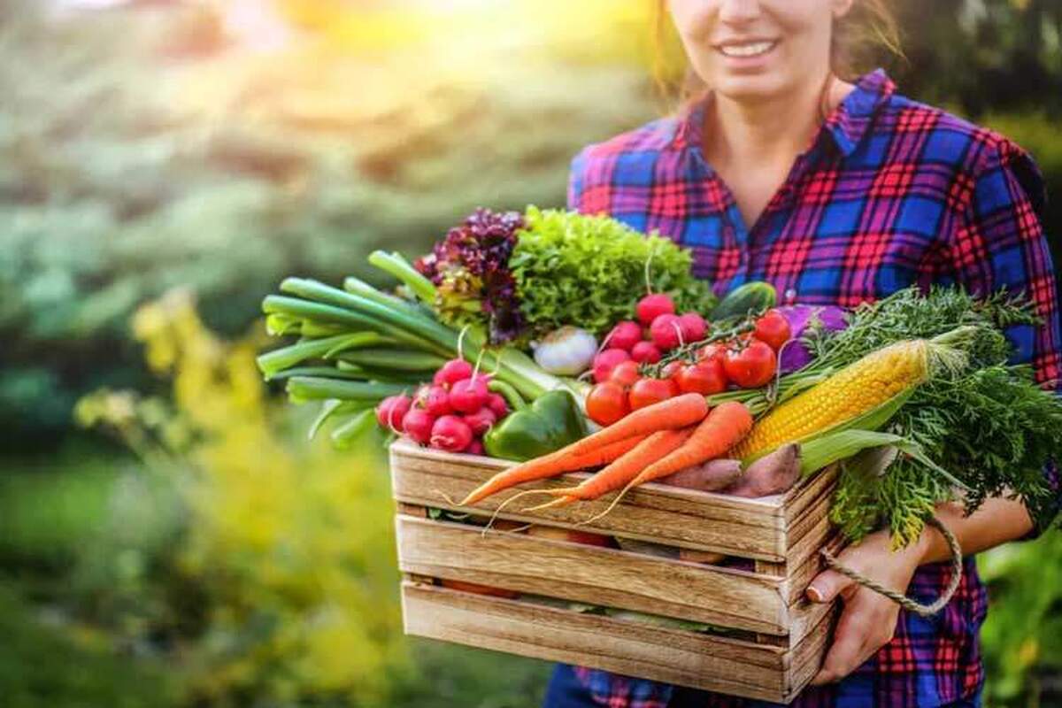 مهم‌ترین اصول زندگی سالم برای داشتن طول عمر بیشتر!