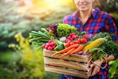 مهم‌ترین اصول زندگی سالم برای داشتن طول عمر بیشتر!