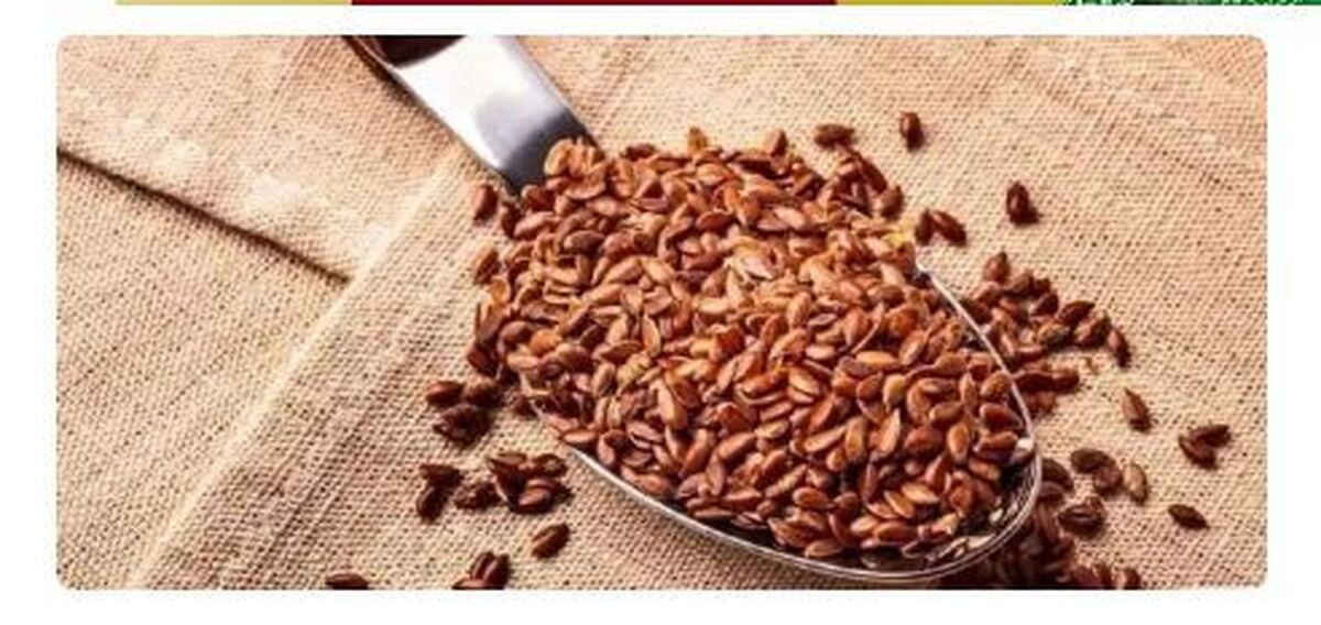 خداحافظی با یبوست مزمن با مصرف تخم کتان