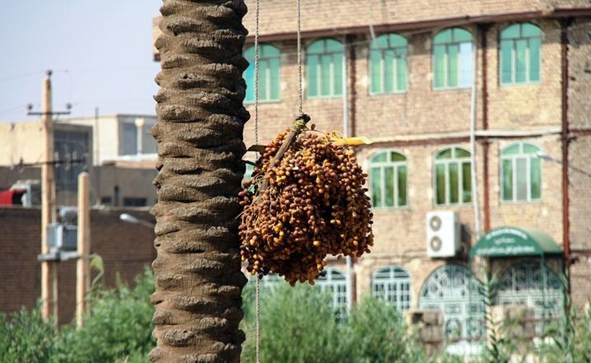 اعتراض شهروندان در قصر شیرین به قطعی مکرر برق