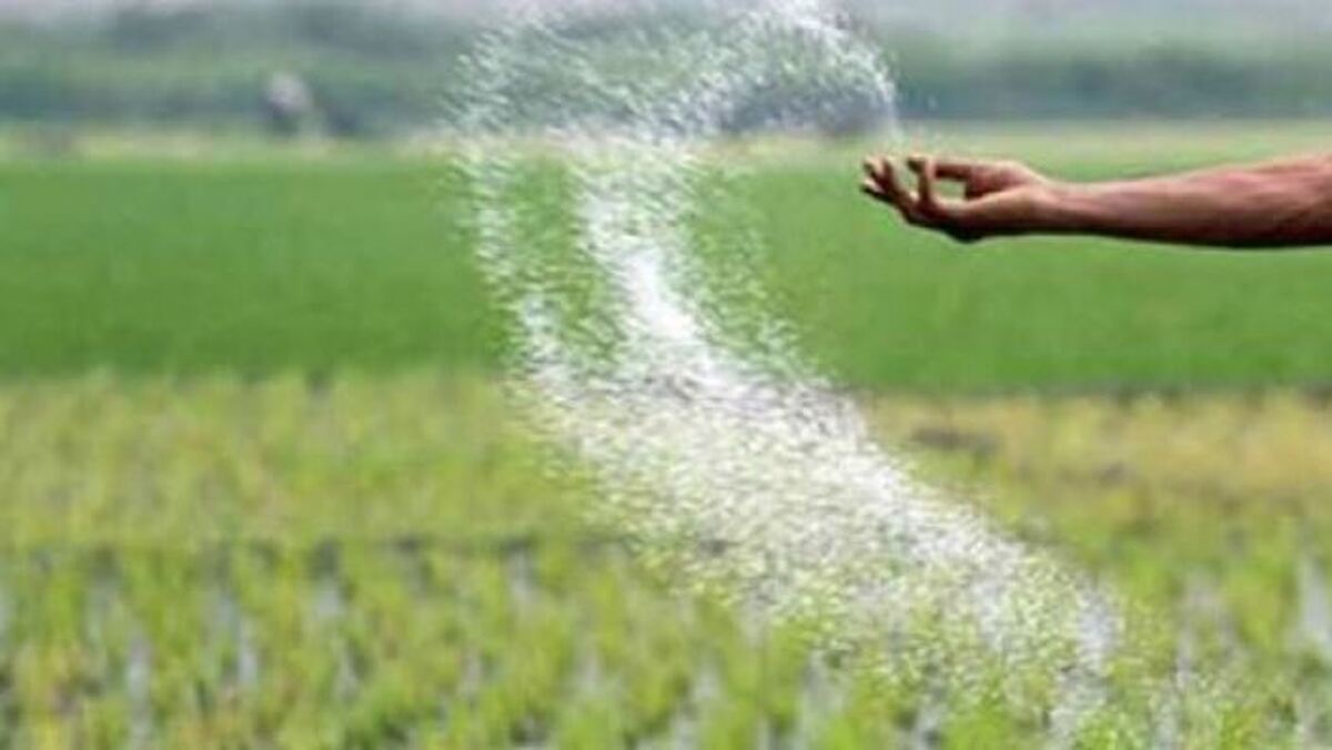 مشکلات تامین مواد اولیه کود‌های شیمیایی در آستانه کشت پاییزه