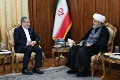 دیدار وگفتگوی آیت‌الله حمید شهریاری با وزیر امور خارجه سید عباس عراقچی
