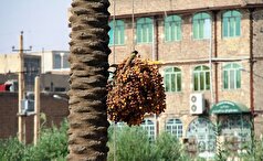 اعتراض شهروندان در قصر شیرین به قطعی مکرر برق