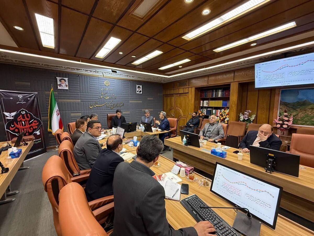 طرح نظارتی شرکت توزیع نیروی برق تهران بر دستگاه های دولتی