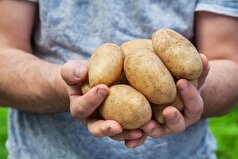 خوراکی دوست داشتنی که احتمال ابتلا به دیابت را بالا می‌برد