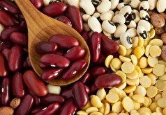 سالمندان میتوانند حبوبات مصرف کنند؟