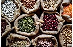 حبوبات؛ منبعی غنی از پروتئین/خوراک مهم برای پیری