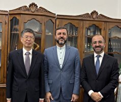 رایزنی غریب‌آبادی با دیپلمات‌های ارشد روسیه و چین در مورد «اسنپ‌بک»