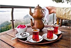 طرفداران خارجی چای خوش عطر و بوی ایرانی روز به روز بیشتر می‌شود