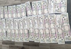 کشف ۴۸۰۰۰۰۰ دینار عراقی تقلبی در باروق