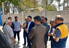 ورود دادستانی شهریار به مشکلات حقوقی تولیدکنندگان