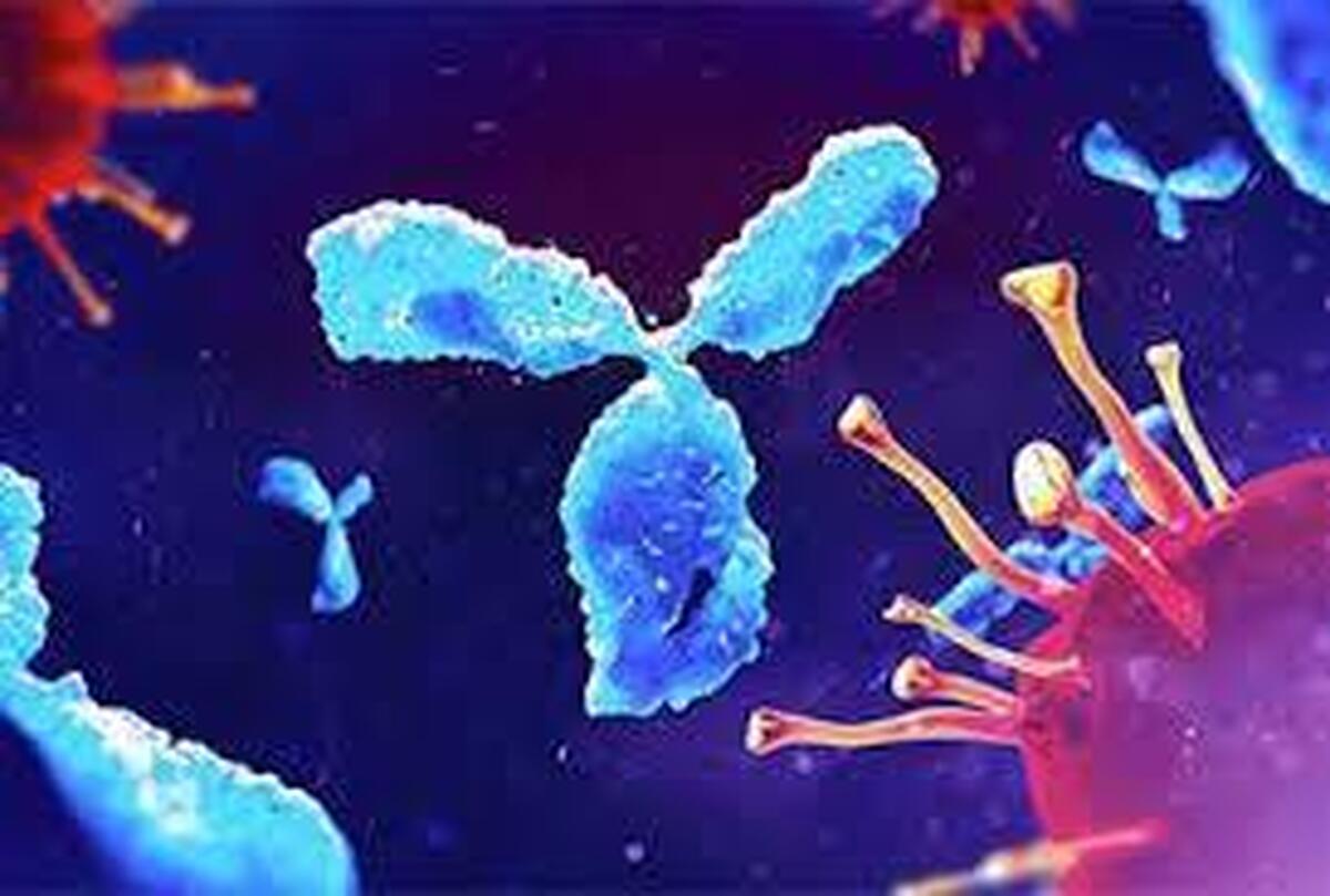 توسعه نخستین آنتی‌بادی هدفمند علیه این اختلالی ایمنی خطرناک!