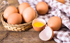 پوسته تخم مرغ، بهترین و ارزان قیمت‌ترین راه تامین کلسیم