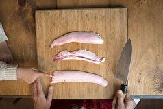 روسیه راهی برای تبدیل فضولات ماهی به دارو پیدا کرد