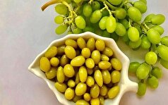 آموزش تهیه غوره شور خانگی خوشمزه +نکات کاربرد