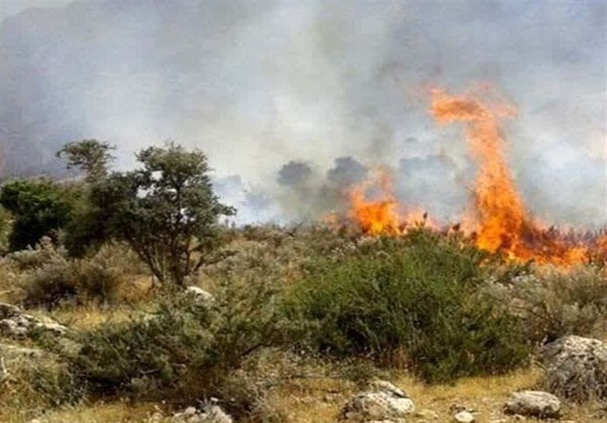آتش‌سوزی در ۳۰ هکتار اراضی جنگلی بخش کلباد گلوگاه