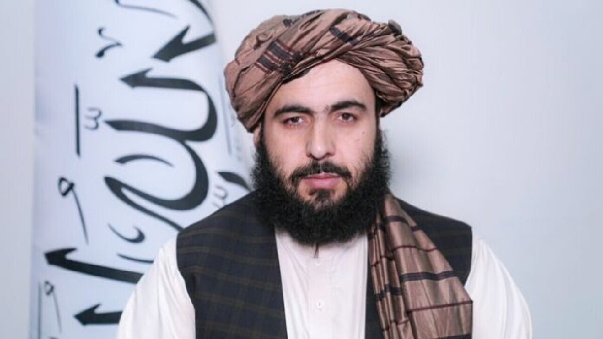گزارش سازمان ملل درباره انتقامجویی درست نیست