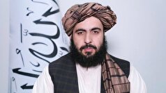 گزارش سازمان ملل درباره انتقامجویی درست نیست