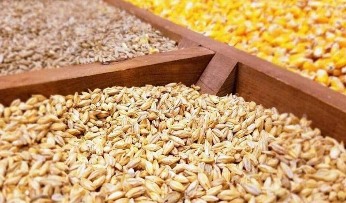 صف تخصیص ارز نهاده‌های دامی به بیش از ۹ ماه رسید
