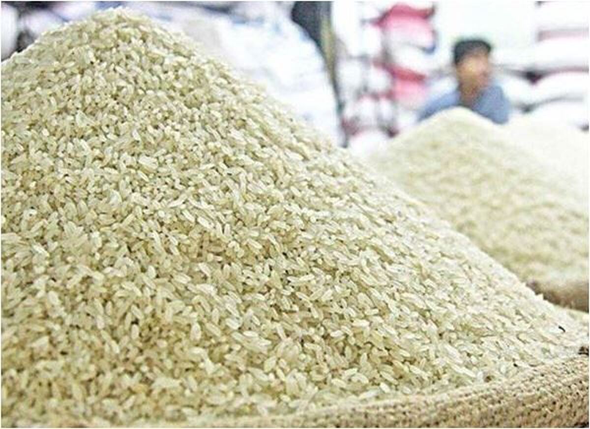تامین نیمی از برنج امسال از طریق واردات در پی خشکسالی‌های اخیر