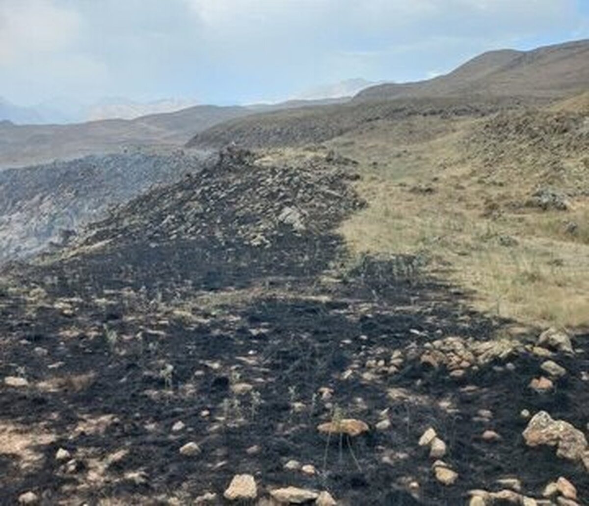 به خاکستر تبدیل شدن بیش از ۱۰ هکتار از مراتع پایین دست ارتفاعات قله دماوند